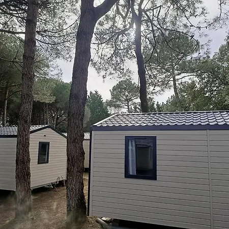 Campsite Les Maraises Saint-Martin-de-Re