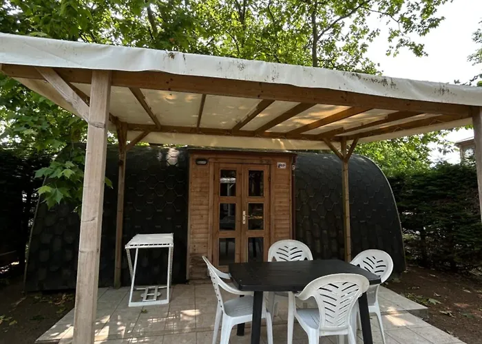 Les Maraises Saint-Martin-de-Ré